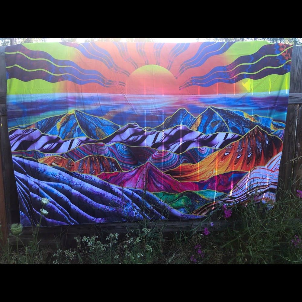 Tapestry /wall hanging / curtain / bed spread